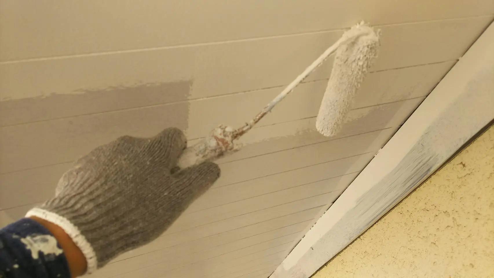 屋根塗装 修理 栃木県宇都宮市 軒天の塗装 栃木県宇都宮市の雨漏り修理 屋根工事専門店 リフォームの森